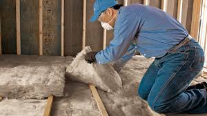 Best Eco-Friendly or Green Insulation Solutions  in Terre Haute, IN